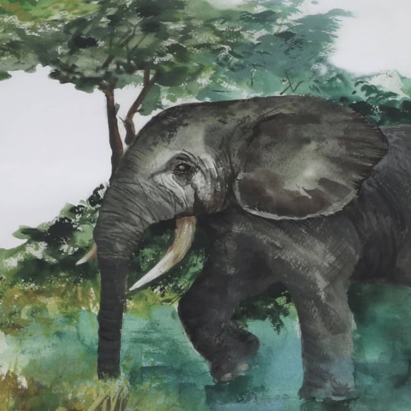 Schweizer Bettwaren 5025103-Safari-Ausschnittjpg