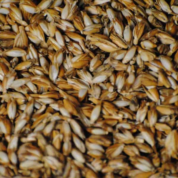 Schweizer Bettwaren Dinkel_DSC_0840jpeg